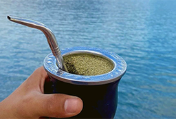 [11419] Mate Andes