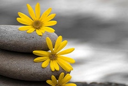 [11385] Espacio Mindfulness