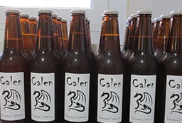 [12619] Calen Microcervecería
