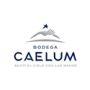 Bodega Caelum